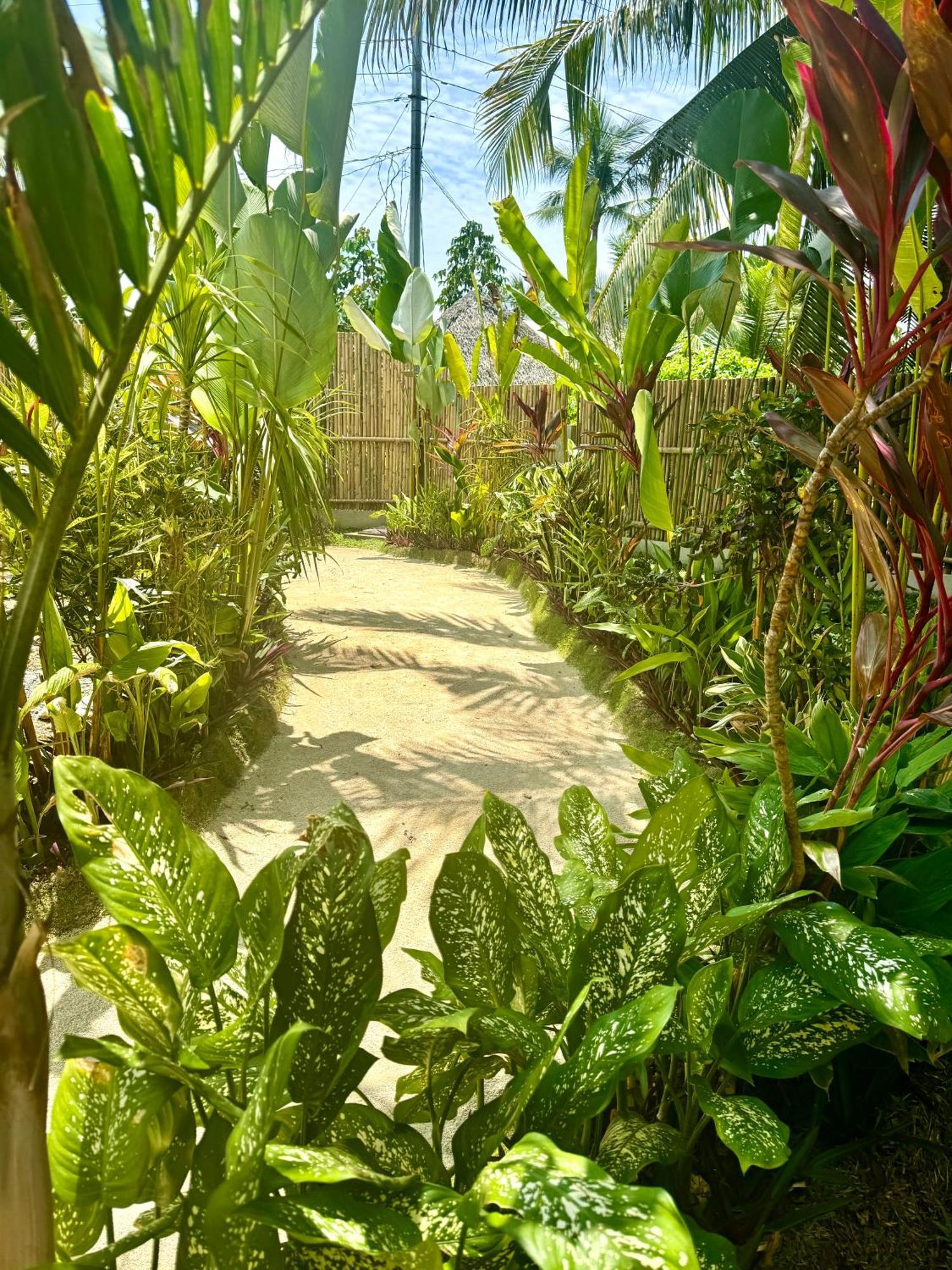 ג'נרל לונה Villa Pura Vida Apartments Siargao מראה חיצוני תמונה
